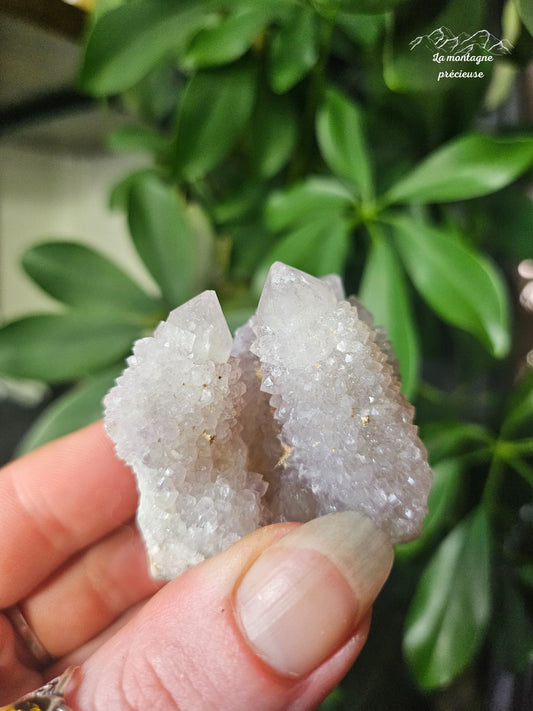 Spirit quartz ou Améthyste cactus