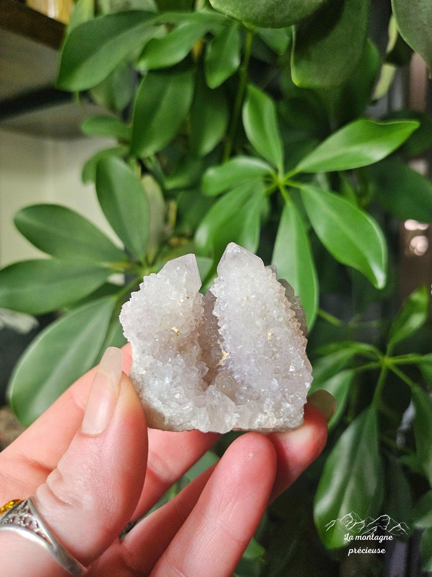 Spirit quartz ou Améthyste cactus