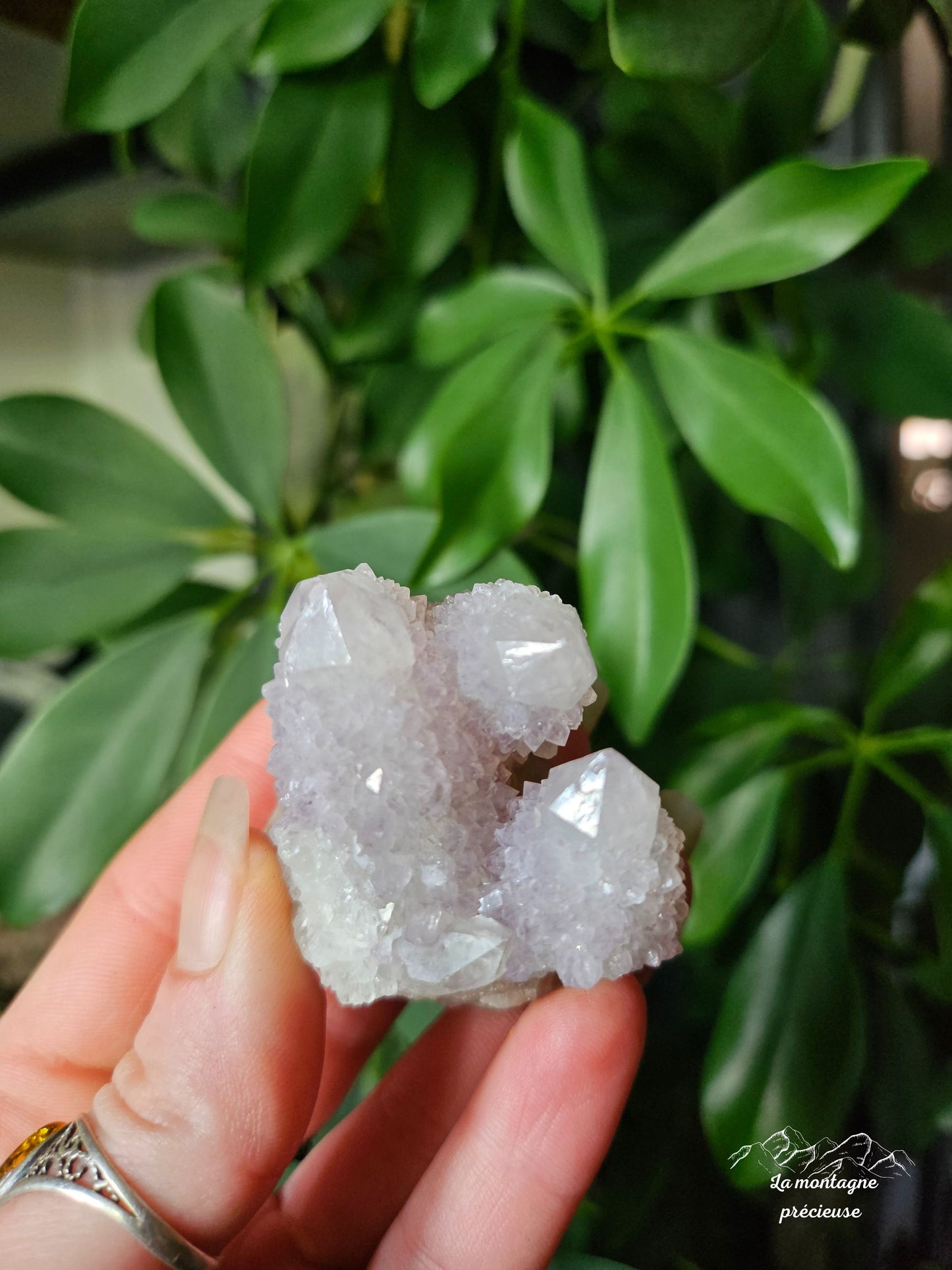Spirit quartz ou Améthyste cactus