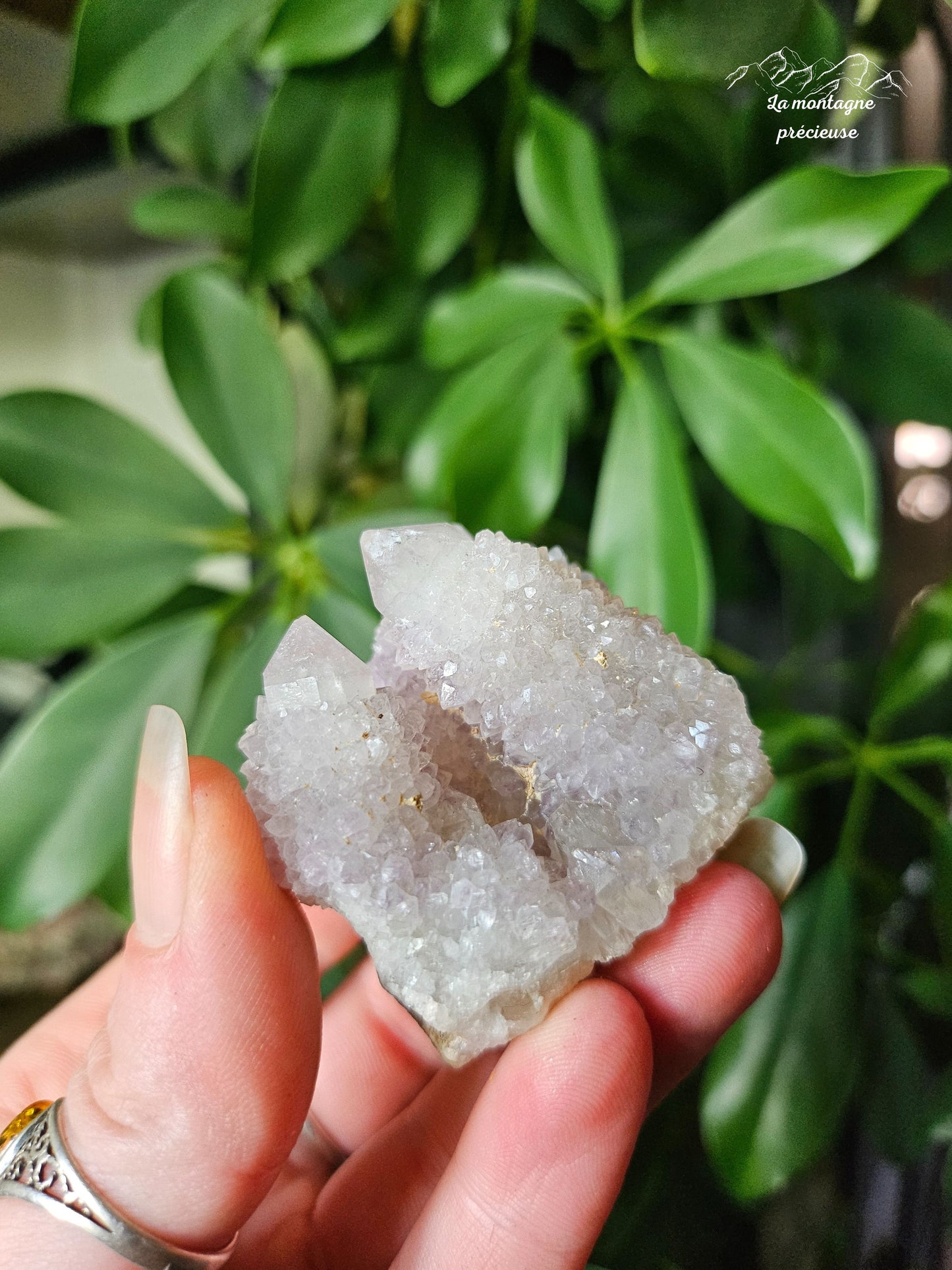 Spirit quartz ou Améthyste cactus