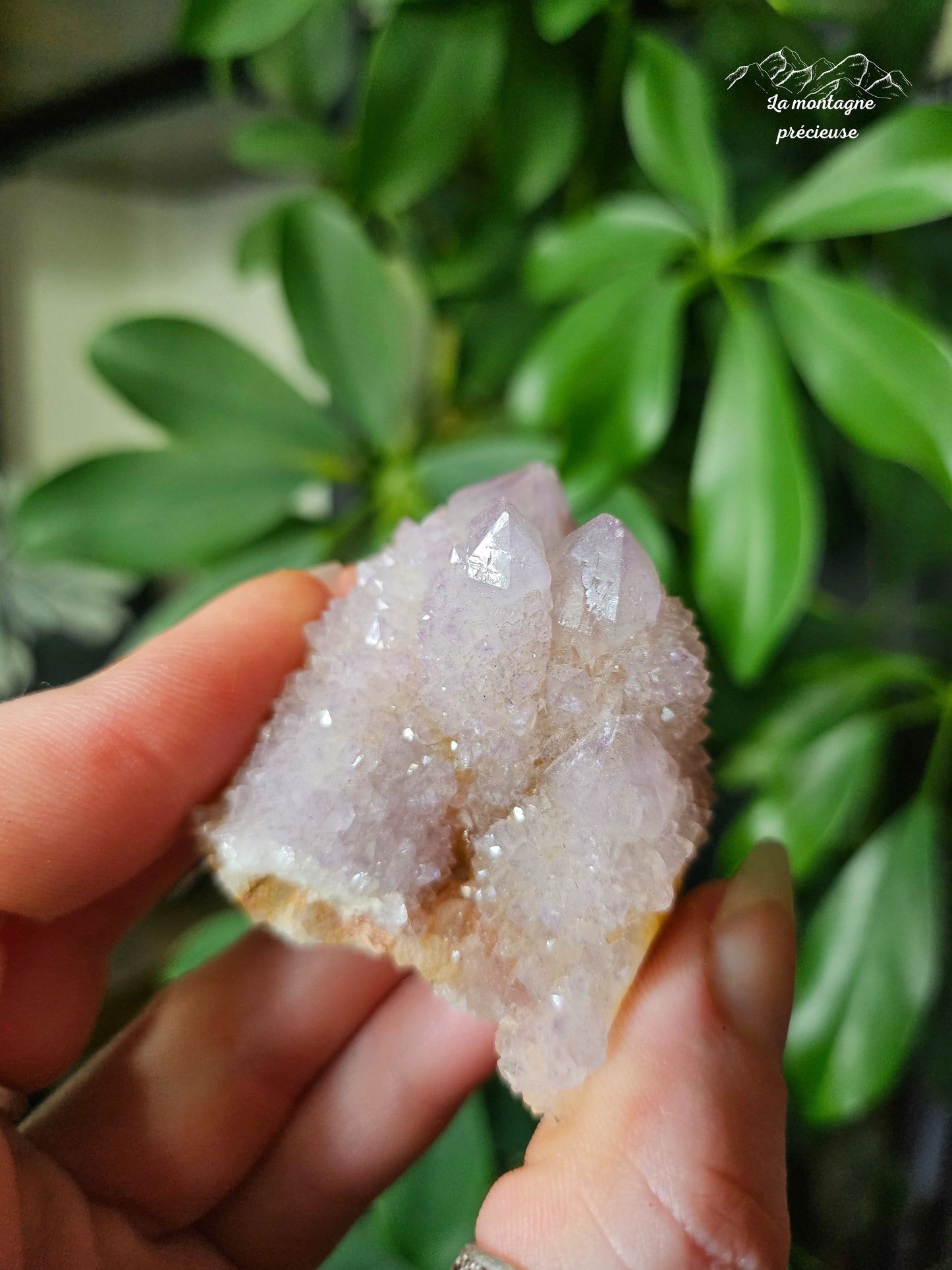 Spirit quartz ou Améthyste cactus