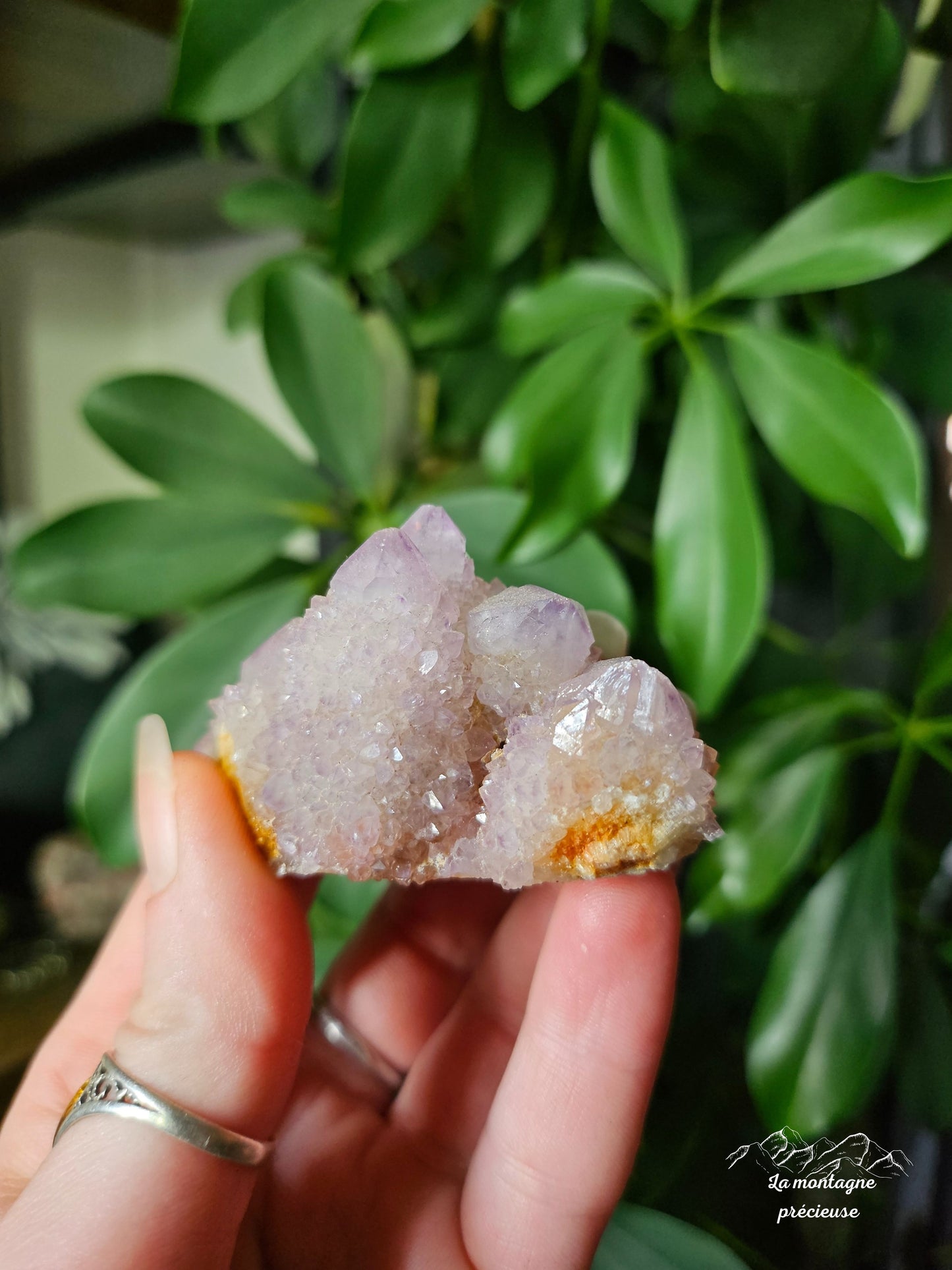 Spirit quartz ou Améthyste cactus