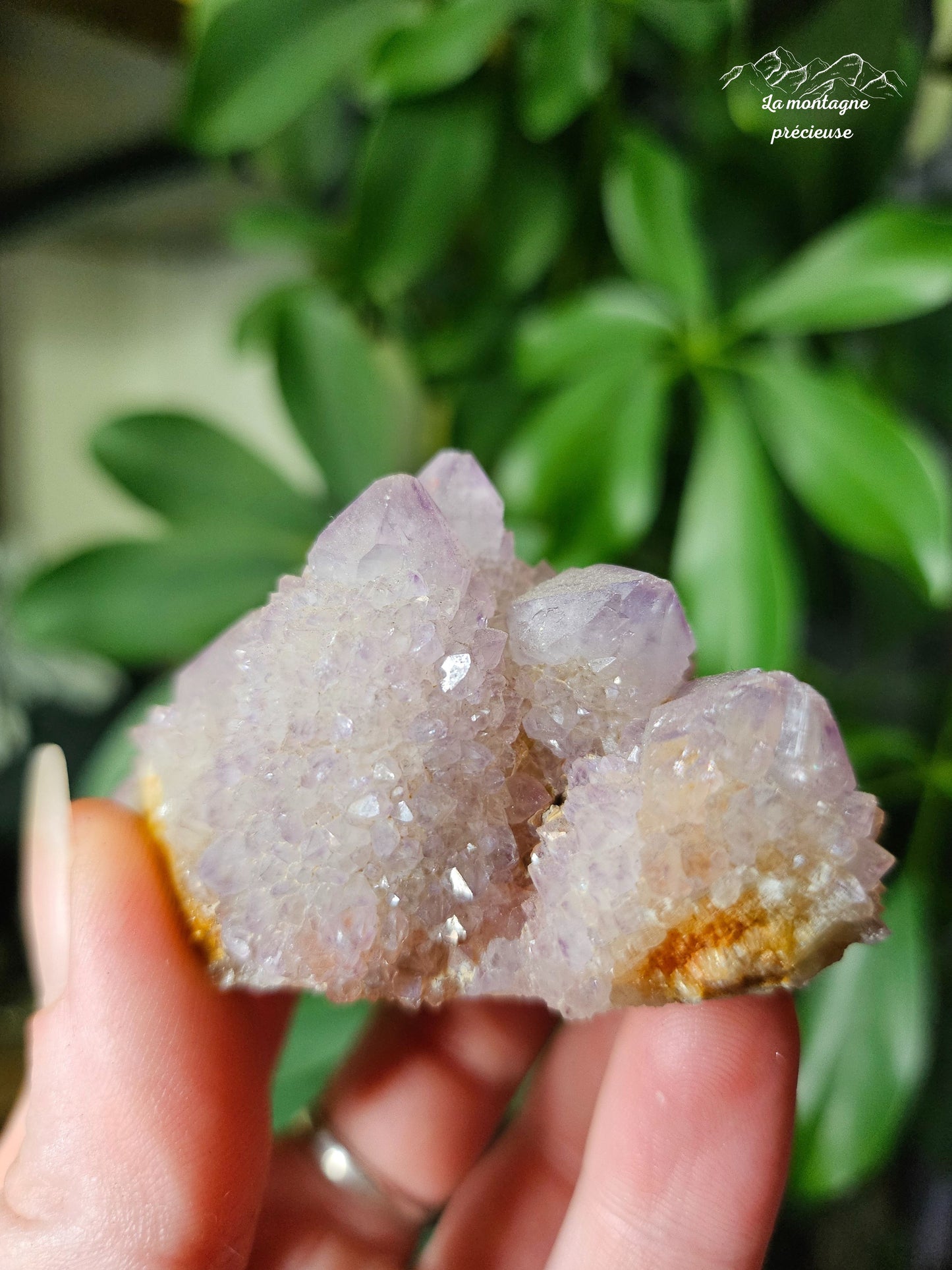 Spirit quartz ou Améthyste cactus