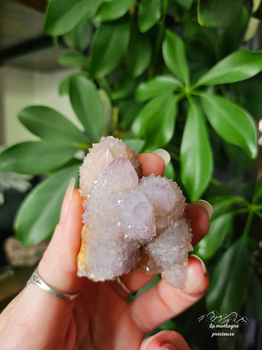 Spirit quartz ou Améthyste cactus