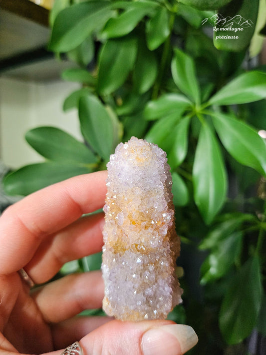 Spirit quartz ou Améthyste cactus