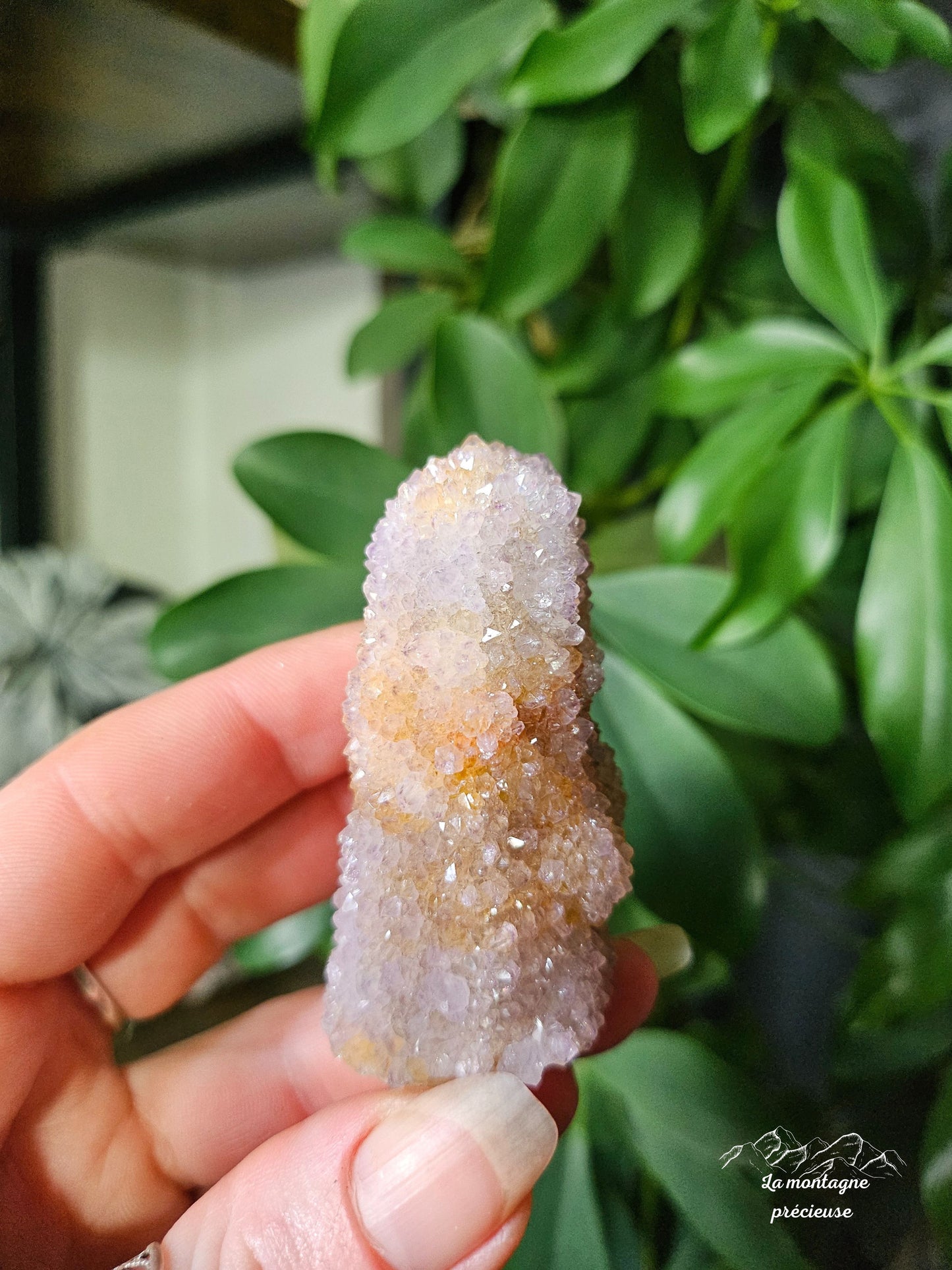 Spirit quartz ou Améthyste cactus