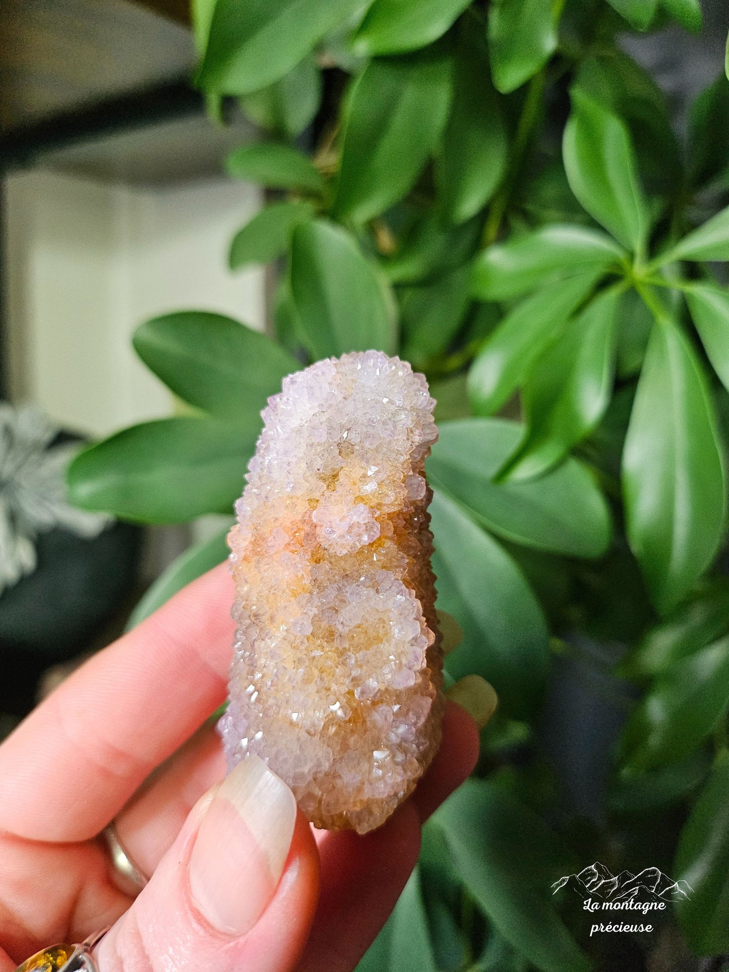Spirit quartz ou Améthyste cactus