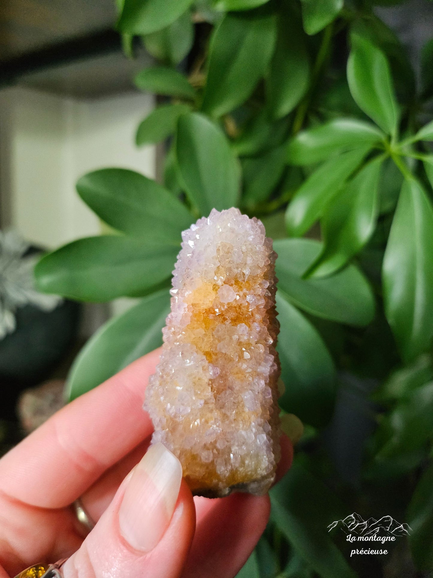 Spirit quartz ou Améthyste cactus
