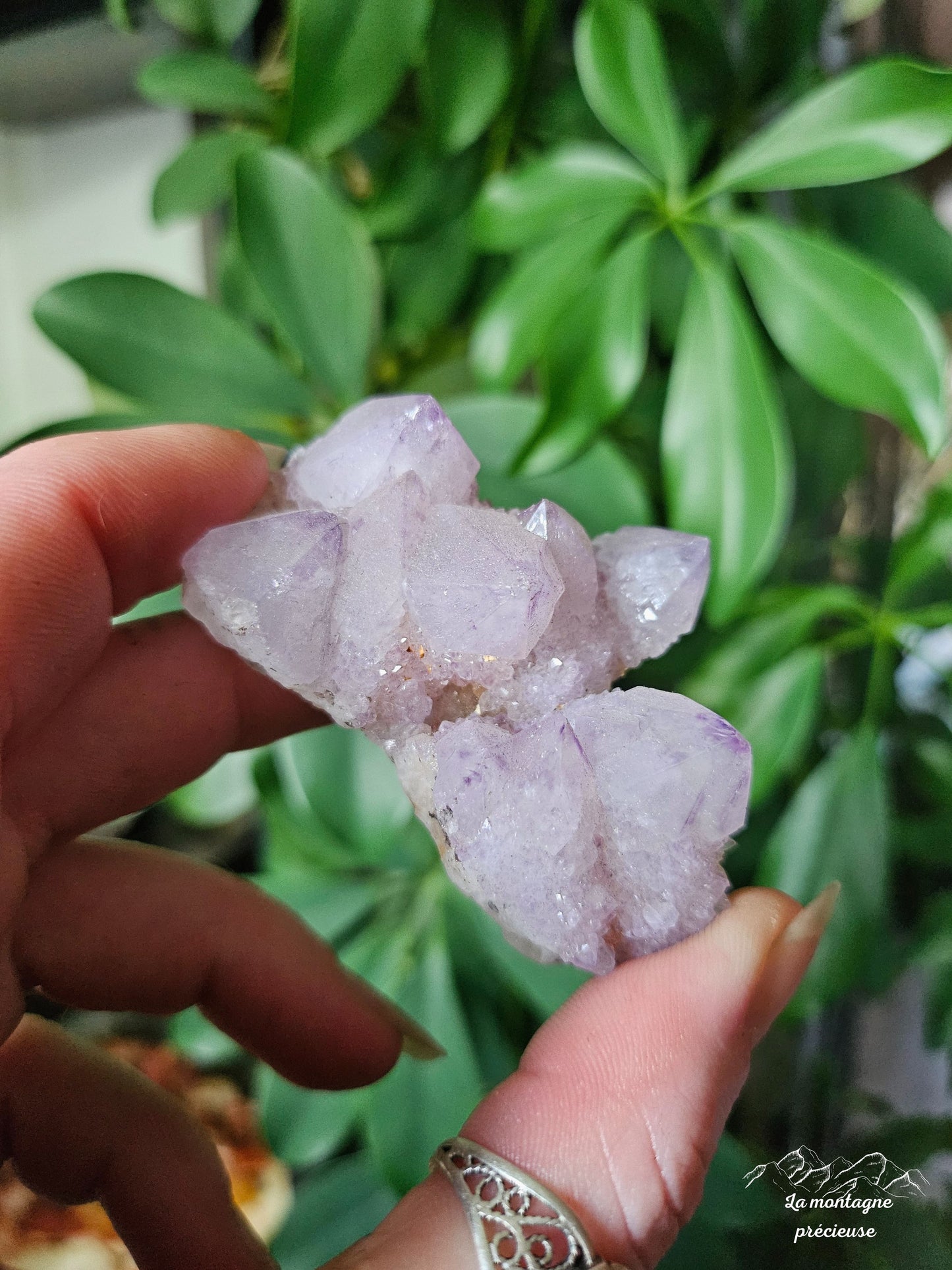 Spirit quartz ou Améthyste cactus