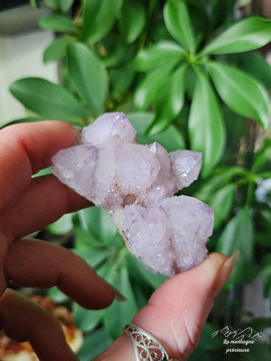 Spirit quartz ou Améthyste cactus