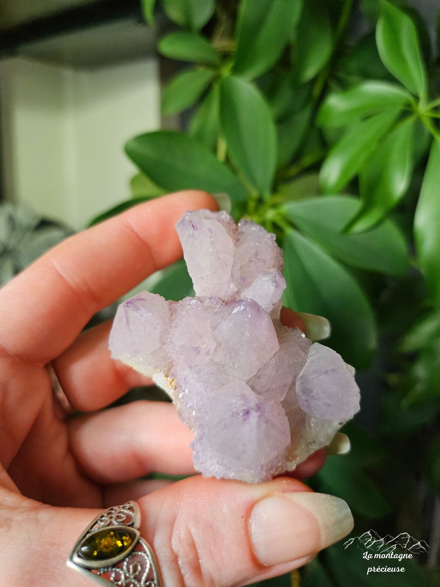 Spirit quartz ou Améthyste cactus