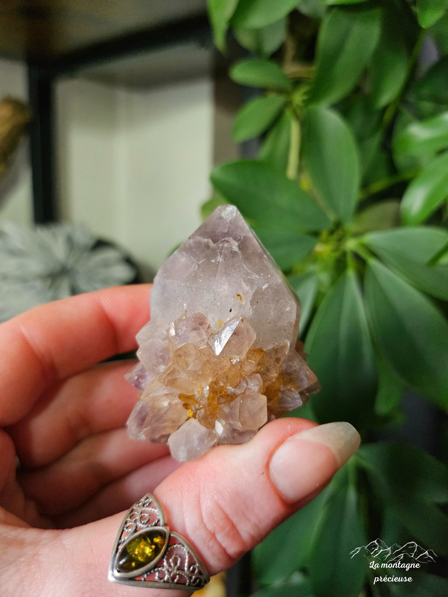Spirit quartz ou Améthyste cactus