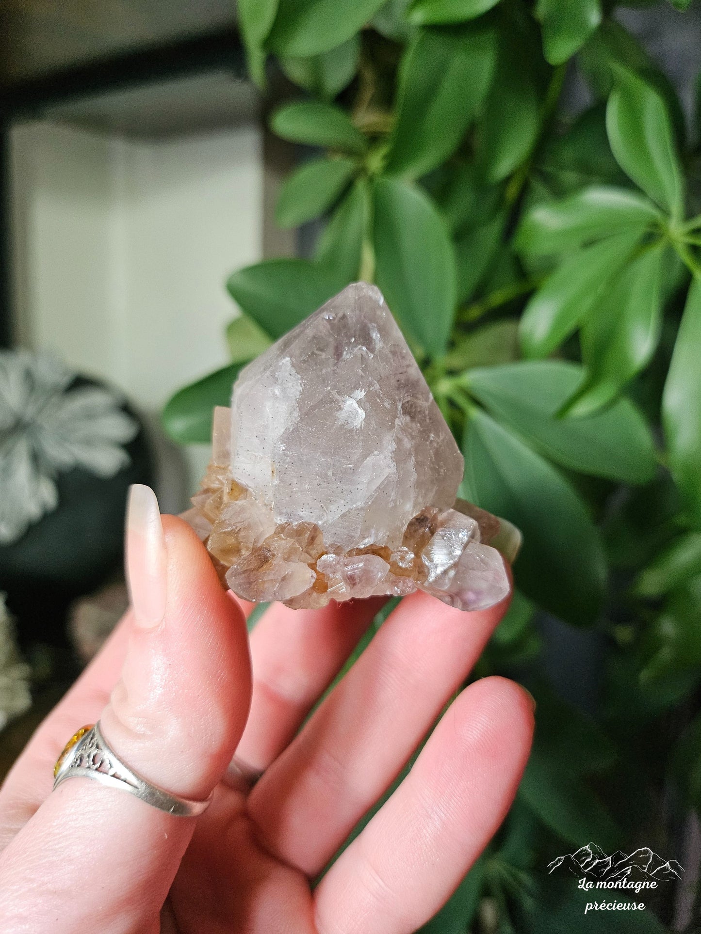 Spirit quartz ou Améthyste cactus