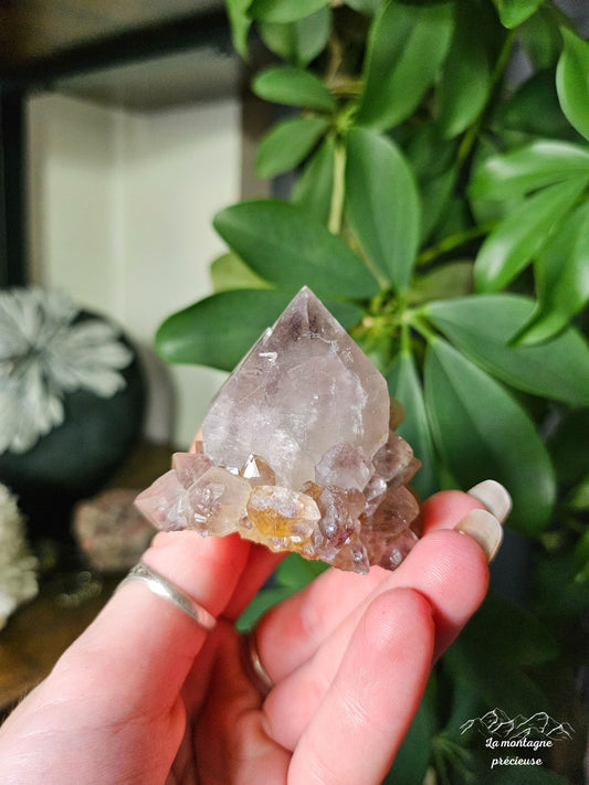 Spirit quartz ou Améthyste cactus