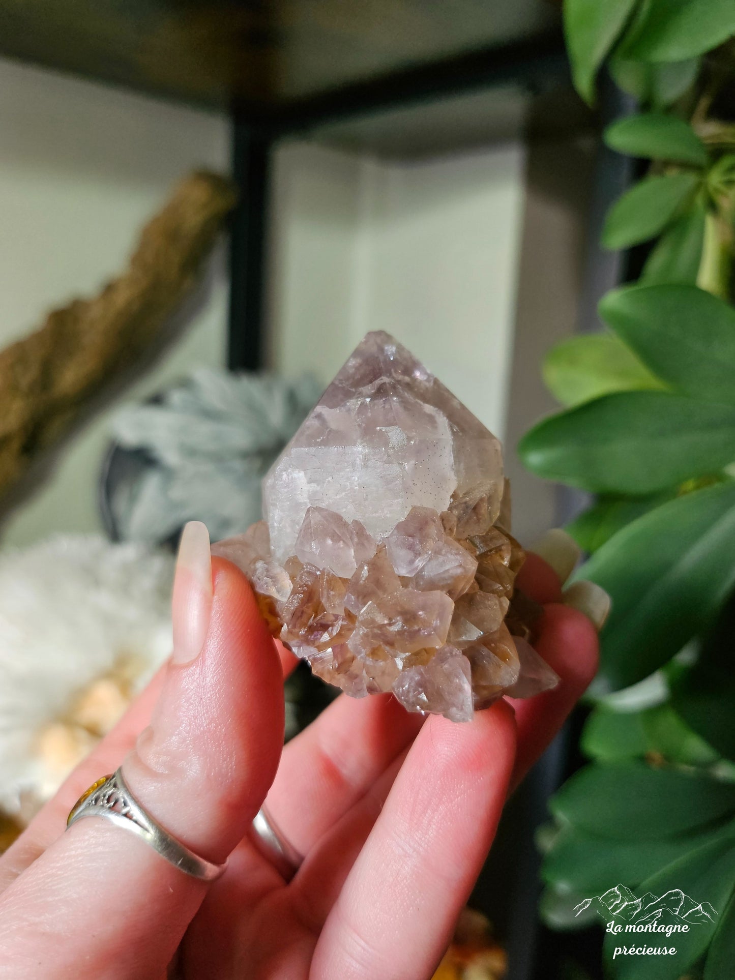 Spirit quartz ou Améthyste cactus