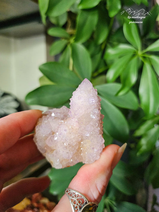 Spirit quartz ou Améthyste cactus