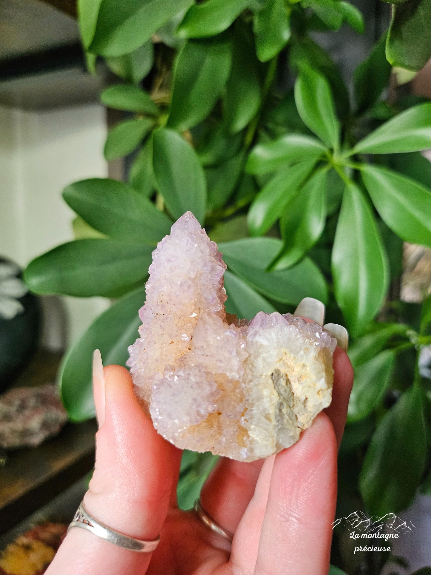 Spirit quartz ou Améthyste cactus