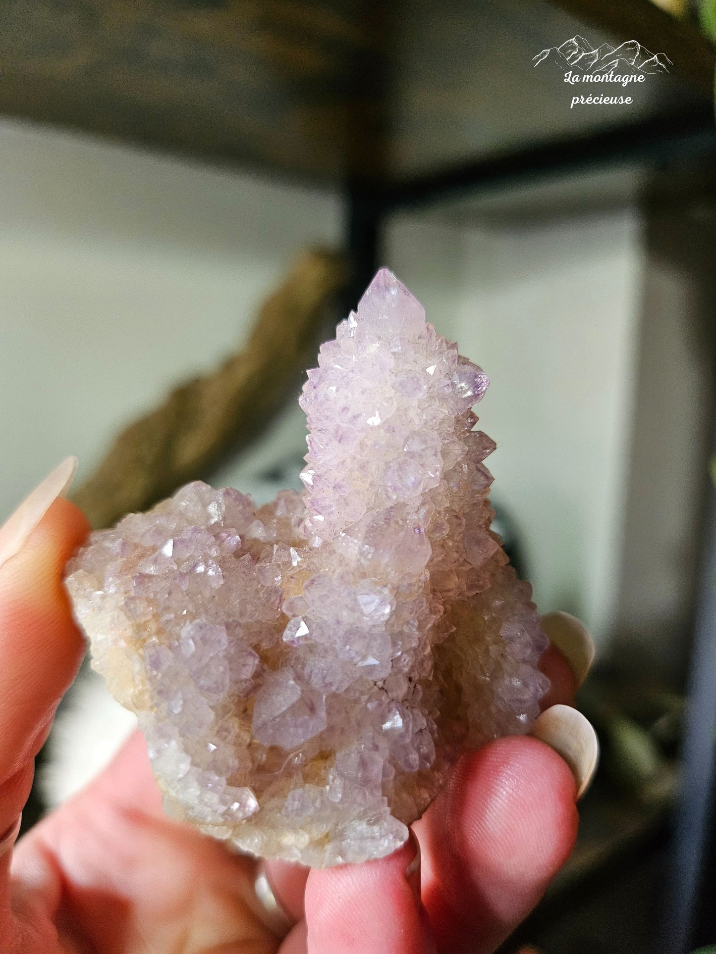 Spirit quartz ou Améthyste cactus