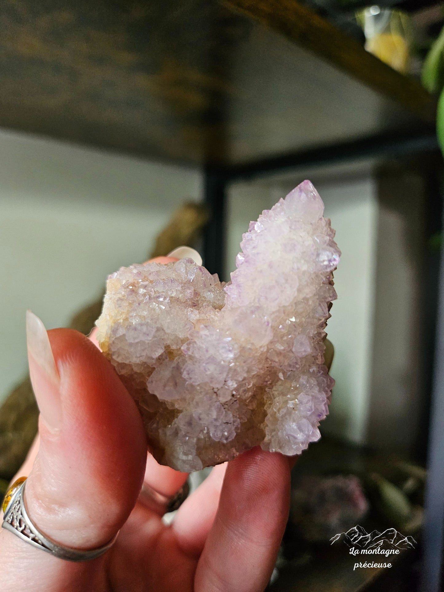 Spirit quartz ou Améthyste cactus