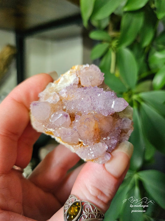 Spirit quartz ou Améthyste cactus