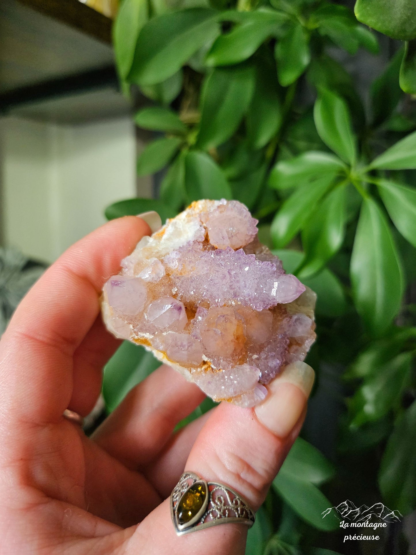 Spirit quartz ou Améthyste cactus