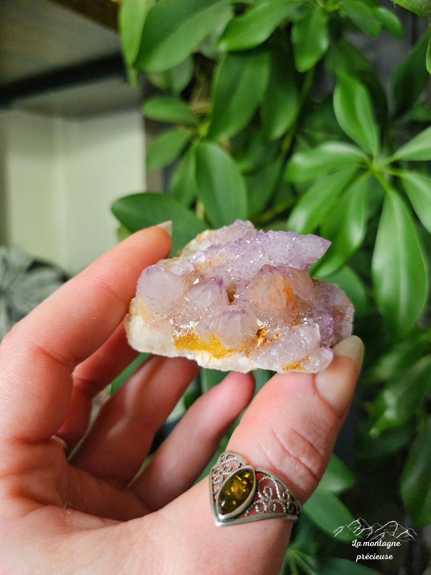 Spirit quartz ou Améthyste cactus