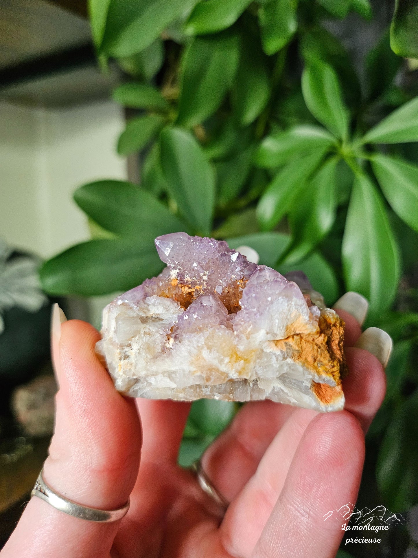 Spirit quartz ou Améthyste cactus