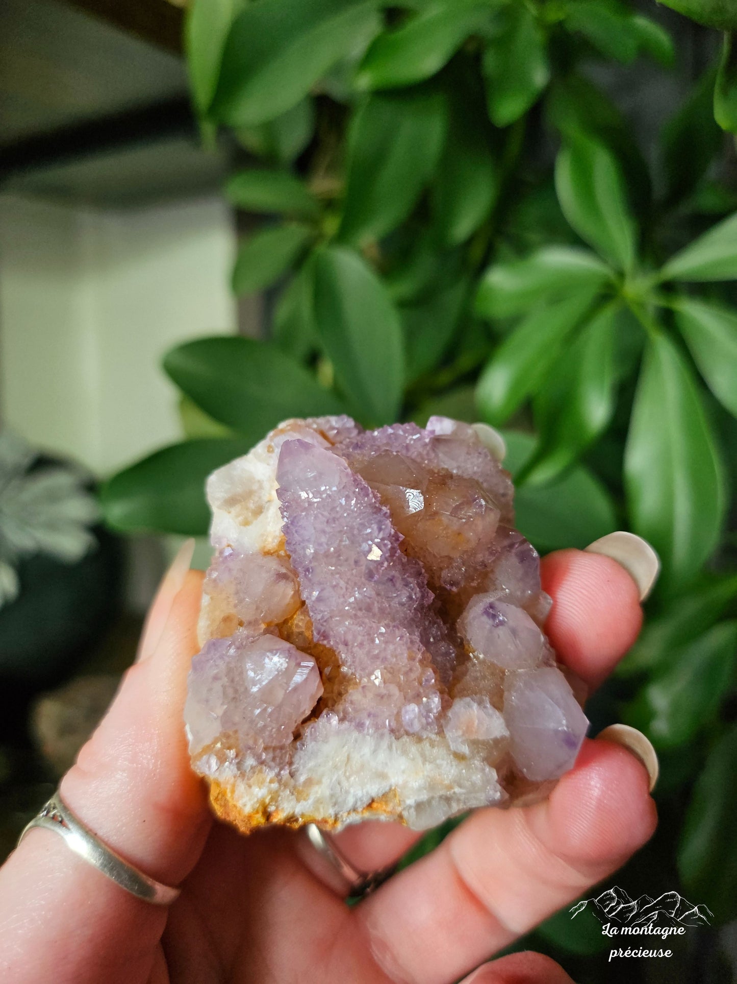 Spirit quartz ou Améthyste cactus