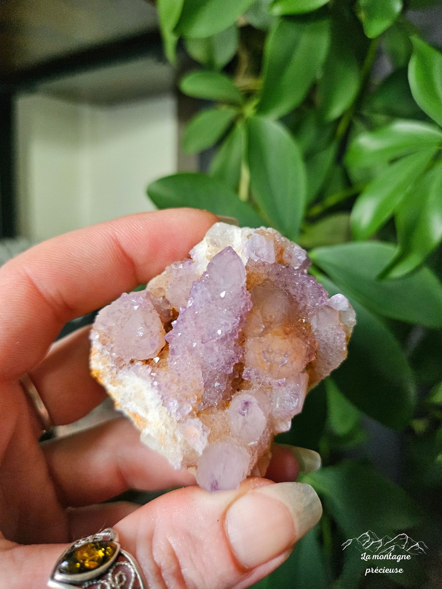 Spirit quartz ou Améthyste cactus