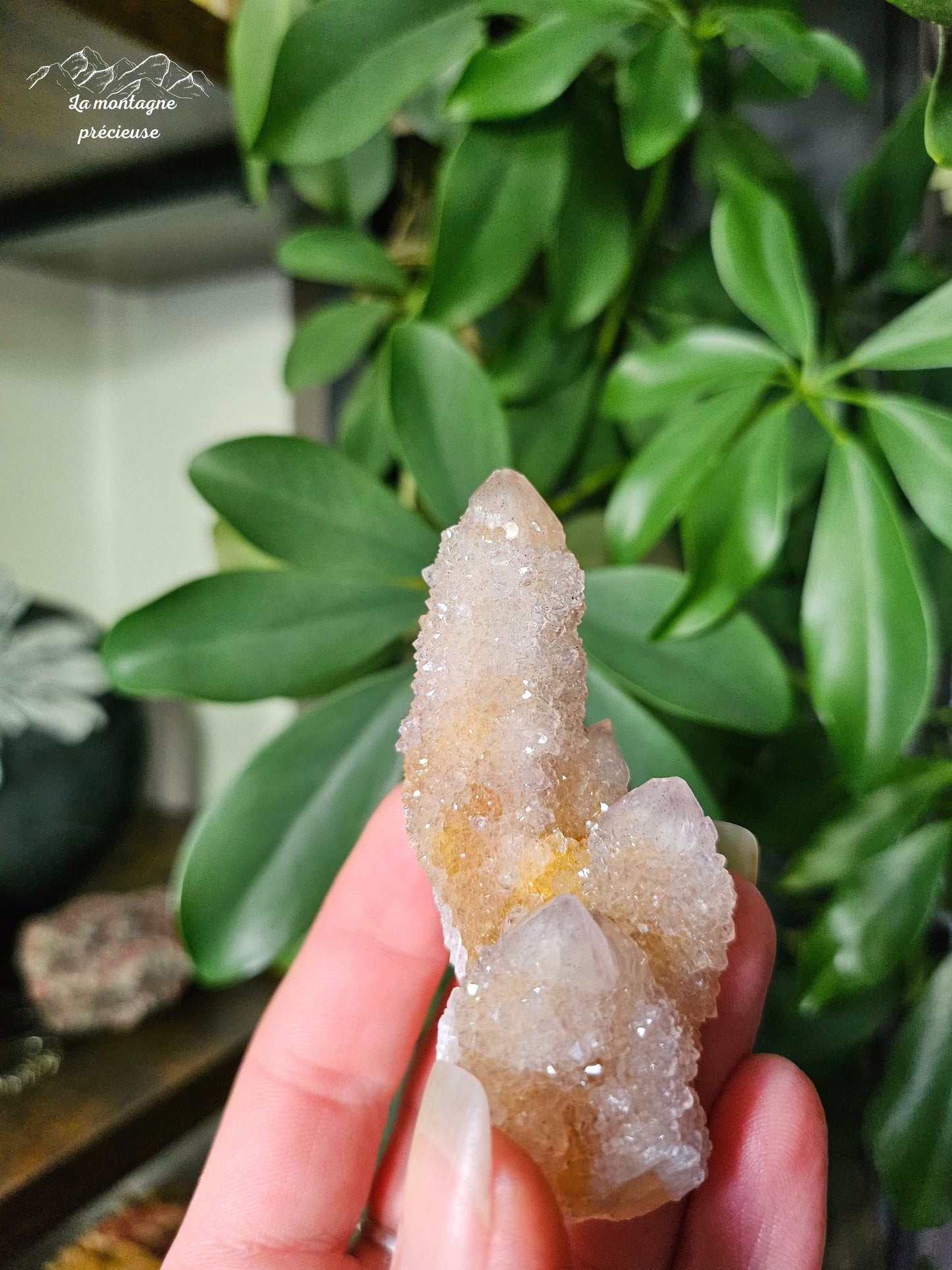 Spirit quartz ou Améthyste cactus
