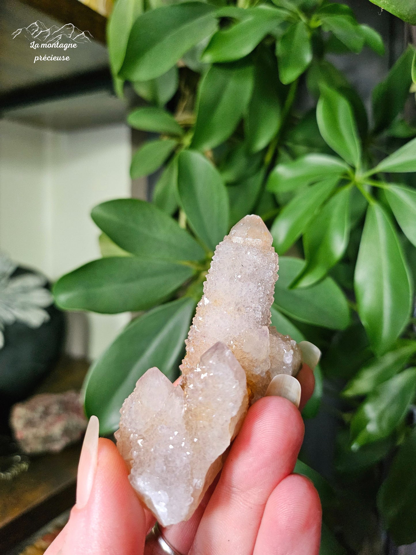 Spirit quartz ou Améthyste cactus