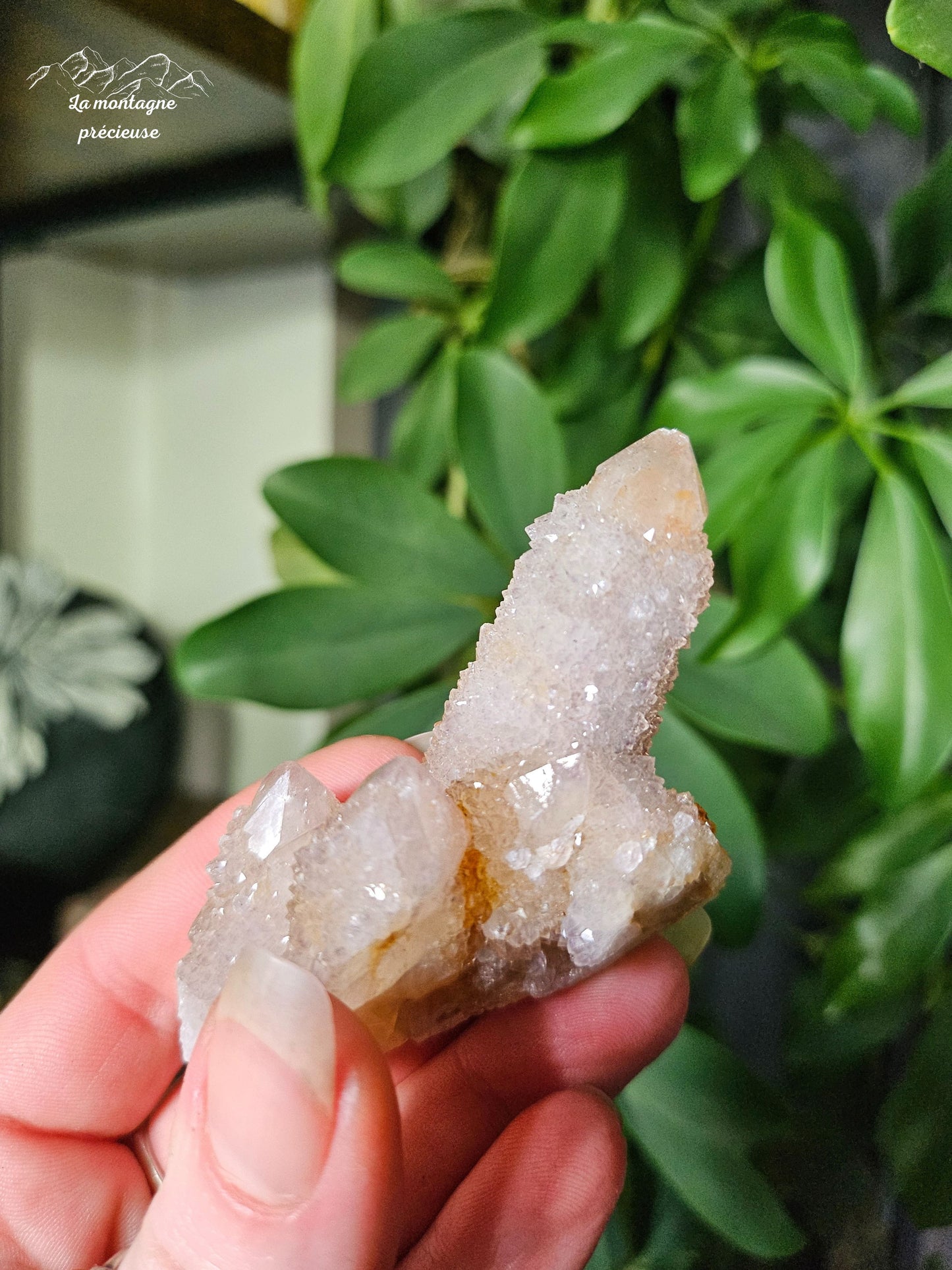 Spirit quartz ou Améthyste cactus