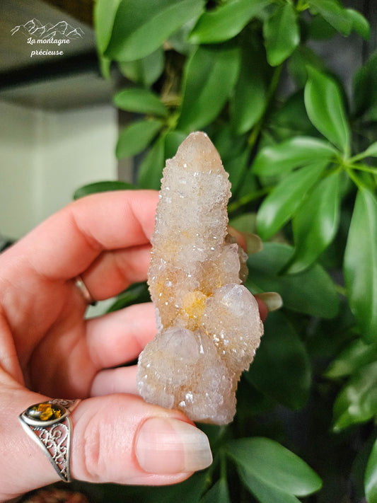 Spirit quartz ou Améthyste cactus