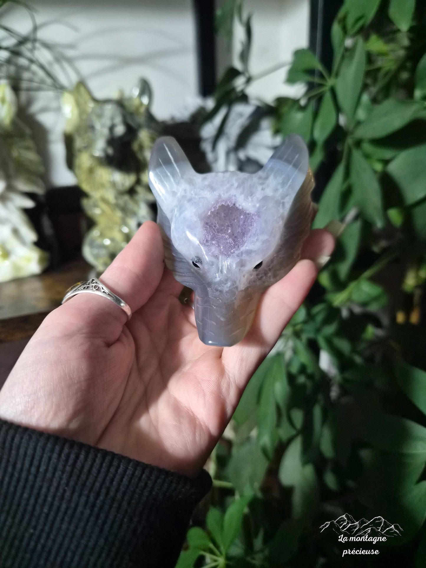 Tête de loup en géode améthyste