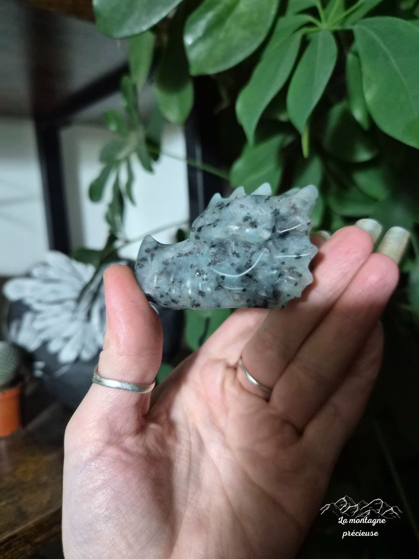 Tête de dragon en Jaspe kiwi
