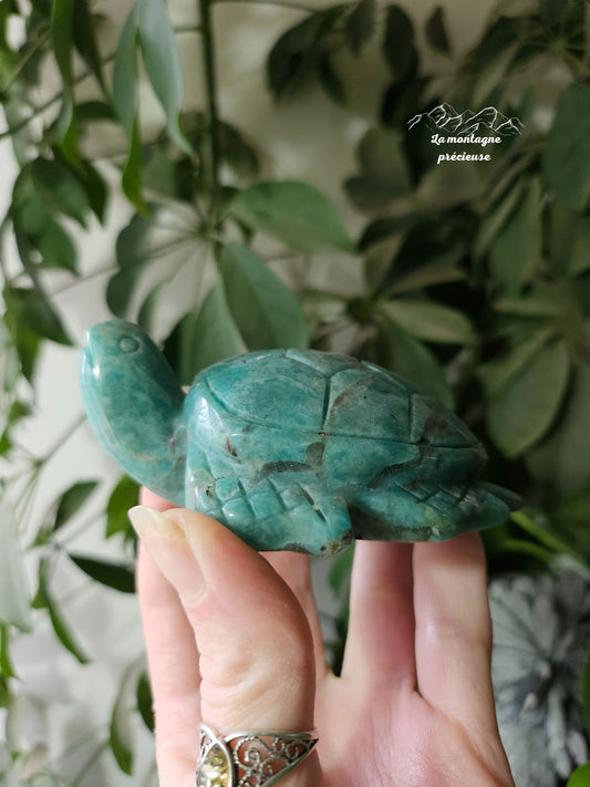 Tortue sculpté en Amazonite