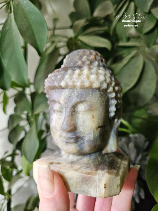 Tête de Bouddha en Pierre de lune et Pierre de soleil